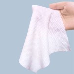 Brush Head Supplier - Disposable Multi-function