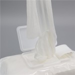 Baby Wipe Manufacturer - Organic Natural Cleansing