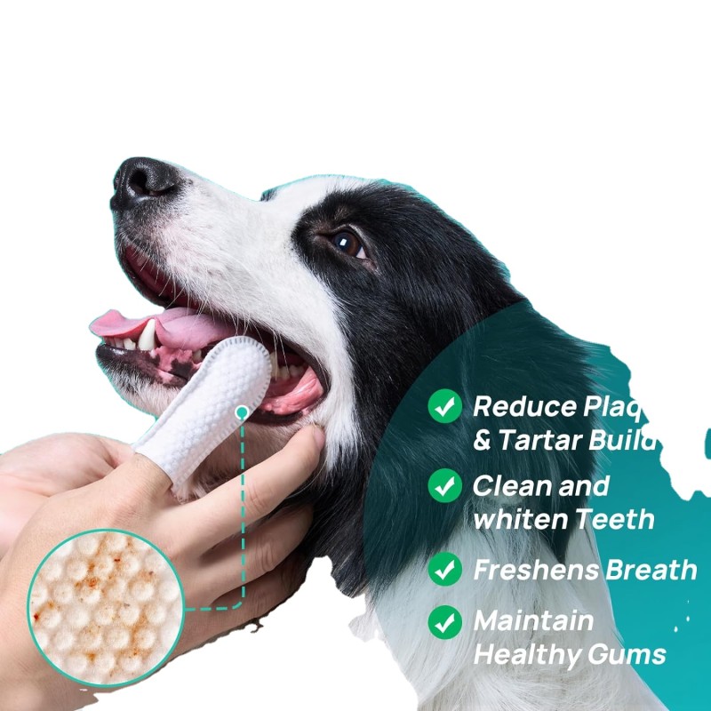 Pet Teeth Wipe Manufacturer - Bad Breath Removal