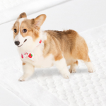 Potty Mat Factory - Charcoal Puppy Training