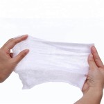 Pet Wet Wipe Factory - Scented Antibacterial