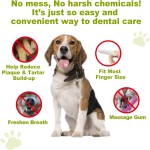 Pet Teeth Wipe Manufacturer - Bad Breath Removal