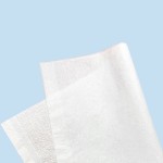 Toilet Paper Supplier - 100% Bamboo Bulk