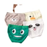 Children Briefs Factory - Cheap Cotton Cartoon Panties