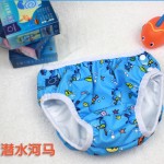 Baby Swim Diaper Supplier - Cloth Swimming Printed Training