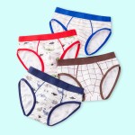 Children Briefs Factory - Cheap Cotton Cartoon Panties