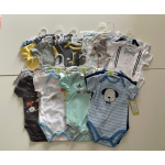 Baby Romper Supplier - Dinosaur Triangle Summer