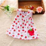 Baby Dress Manufacturer - 1 Year Summer