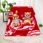 Baby Blanket Supplier - Cartoon Printed Cloud