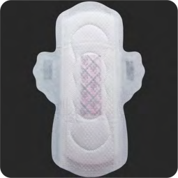 Taxus Chinensis Pads Supplier - Organic Bamboo Charcoal