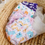 Cloth Diaper