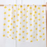 Gauze Blanket Manufacturer - Wholesale 2 Layer Muslin