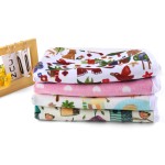 Changing Mat Supplier - Waterproof MINKY Cloth Diaper