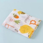 Gauze Blanket Manufacturer - Wholesale 2 Layer Muslin