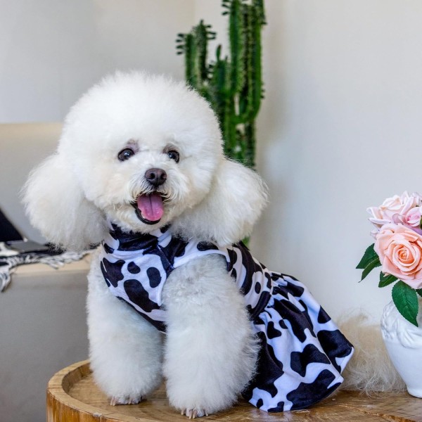 Dog Costume Supplier - Turtleneck Velvet Fashion