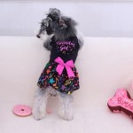 Male Dog Diaper Manufacturer - Washable Belly Band