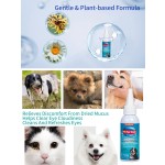 Dog Apparel Factory - Fashion Design Export