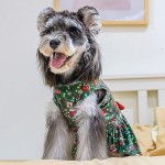 Dog Pants Supplier - Halloween Washable Design