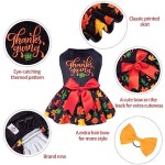 Dog Dress Factory - Velvet Fall Thanksgiving