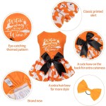 Dog Dress Manufacturer - Winter Velvet Bow Rope