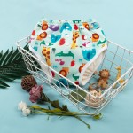 Training Pants Manufacturer - Bamboo Snaps Eco Friendly