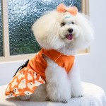 Dog Dress Manufacturer - Winter Velvet Bow Rope
