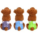 Pet Clothing Manufacturer - Custom OEM Wholesale