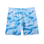Boys Swimsuit Supplier - One Piece Beach Pants