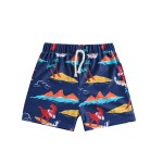 Boys Swim Brief Supplier - One Piece Quick Drying