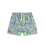 Swim Trunk Supplier - Wholesale Polyester Quick Dry