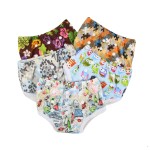 Potty Training Pants Factory - Eco Friendly Girl Underwear
