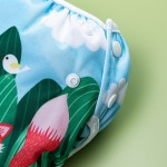 Swim Nappy Manufacturer - Waterproof Lessons Reusable