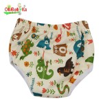 Training Pants Manufacturer - Bamboo Reusable Washable Wholesale