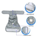 Dog Diapers Supplier - Washable Physiological Puppy Reusable