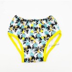 Potty Training Pants Manufacturer - High Quality Adjustable