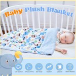 Plush Blanket Factory - Unisex Sherpa Back Mink