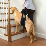 Dog Stairs Manufacturer - Non-Slip Adjustable Height Wooden
