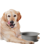 Pet Feeder Factory - Adjustable Raised Ceramic Stainless