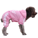 Dog Coat Supplier - Windproof Winter Padded Clothes