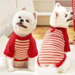 Pet Cloth Supplier - Wholesale Post-Surgery Care Neutering