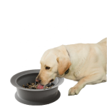 Pet Feeder Factory - Adjustable Raised Ceramic Stainless