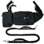 Dog Training Pouch Manufacturer - With Poop Bag Dispenser