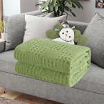 Pet Mat Supplier - Factory Price Ultra Soft Plush