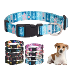 Dog GPS Collar Factory - High Quality Tactical Airtag Holder