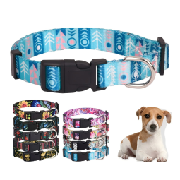 Dog GPS Collar Factory - High Quality Tactical Airtag Holder