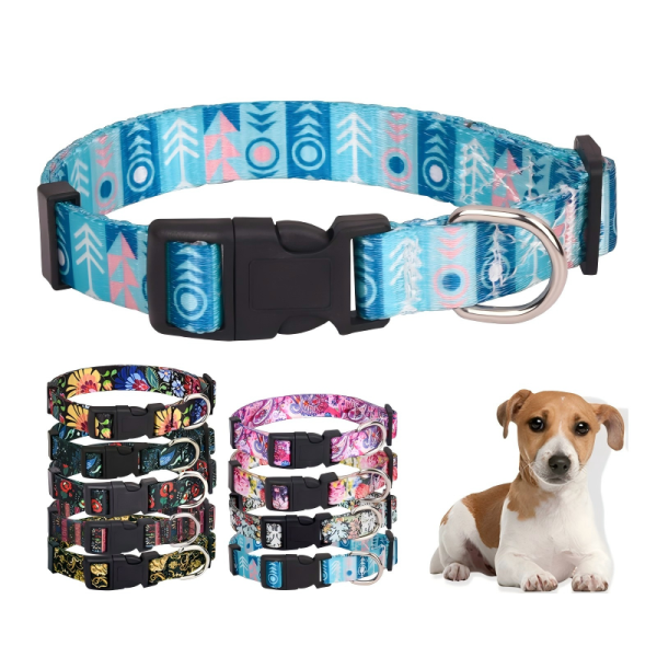 Dog GPS Collar Factory - High Quality Tactical Airtag Holder