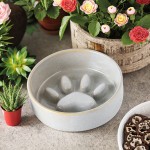 Dog Leash Supplier - New Design Eco-friendly Print Ribbon