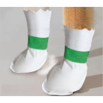 Pet Shoes Factory - High Quality Disposable Comfortable