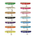 Pet Leash Factory - Hot Sale Waterproof PVC Length