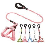 Dog Harness Manufacturer - High Quality Oxford Nylon Anti-Slip